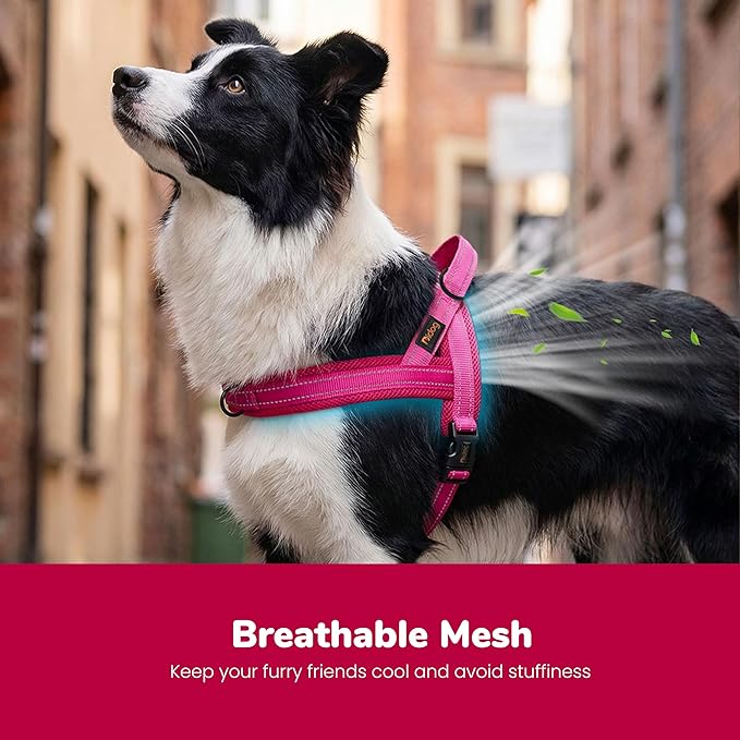 Didog No Pull Dog Harness with Breathable Mesh Padded,Reflective & Quick Fit Light Weight Dog Strap Vest Harness,Easy for Walking Training (M:Chest 21-26", Mesh-Hot Pink)