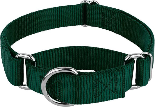Country Brook Petz - Martingale Dog Collar - Heavy-Duty Training Collar with No Buckle - Service Dog Collar for All Pups - 20 Vibrant Colors (Green, 3/8 Inch, 2XS)