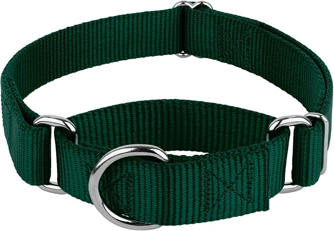 Country Brook Petz - Martingale Dog Collar - Heavy-Duty Training Collar with No Buckle - Service Dog Collar for All Pups - 20 Vibrant Colors (Green, 3/4 Inch, Small)