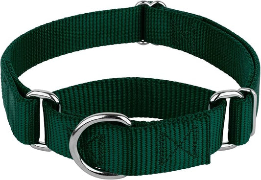 Country Brook Petz - Martingale Dog Collar - Heavy-Duty Training Collar with No Buckle - Service Dog Collar for All Pups - 20 Vibrant Colors (Green, 3/8 Inch, 3XS)