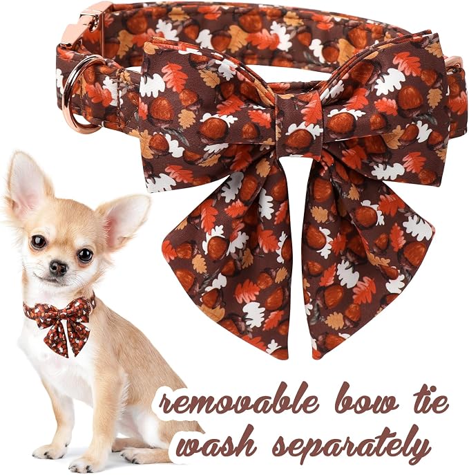Unique style paws Cartoon Dog Collar with Bowtie Autumn Puppy Collar with Hazelnut Maple Leaf for Small Medium Large Boys Girls Dogs