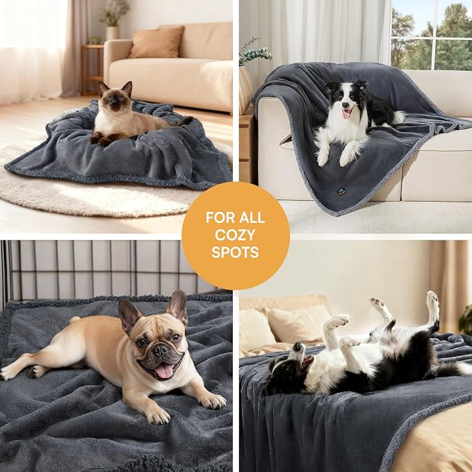 Luciphia Waterproof Pet Blankets, Liquid Pee Proof Dog Blanket for Sofa Bed Couch, Reversible Sherpa Fleece Furniture Protector Cover for Small Medium Large Dogs Cats, Dark Gray King Size（100" x 85"）
