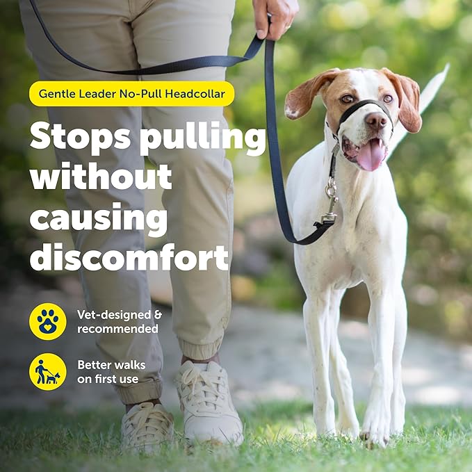 PetSafe Gentle Leader No-Pull Dog Headcollar - The Ultimate Solution to Pulling - Redirects Your Dog's Pulling for Easier Walks - Helps You Regain Control - Medium, Deep Purple
