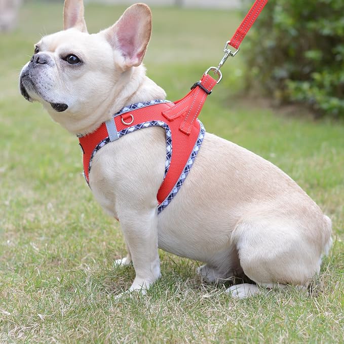 Mercano Soft Mesh Dog Harness and Leash Set, Step-in Reflective Breathable Lightweight Vest Harnesses with Safety Buckle for Small Dogs, Cats (Red, XL)