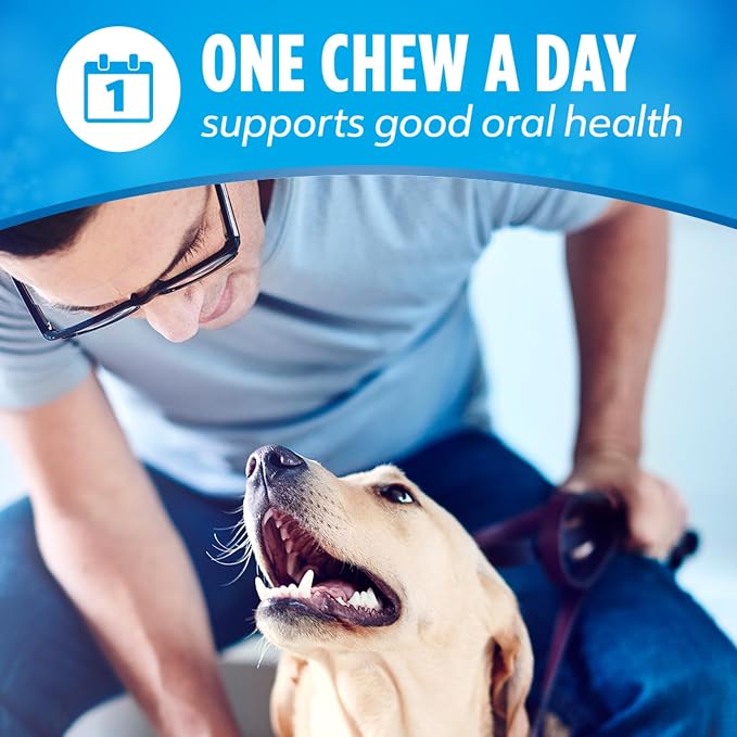 Dentalife Daily Oral Care Dog Treats for Small Dogs 5-20 lbs.,Chewy Dental Treat to Freshen Breath and Fight Tartar,Chicken Flavor,14.7 oz. Each,45 Chews each/90 Chews-45 ct. Pouch,(Pack of 2)