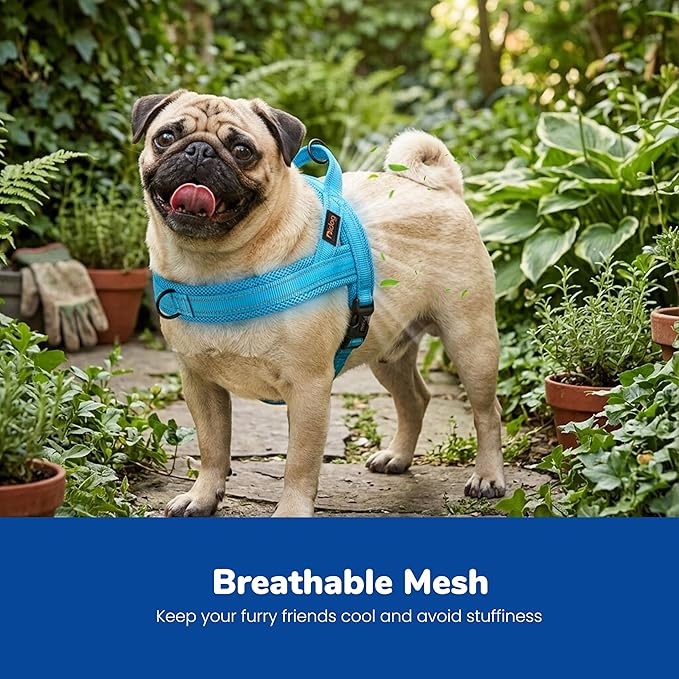 Didog No Pull Dog Harness with Breathable Mesh Padded,Reflective & Quick Fit Light Weight Dog Strap Vest Harness,Easy for Walking Training (S:Chest 18-22", Mesh-Blue)