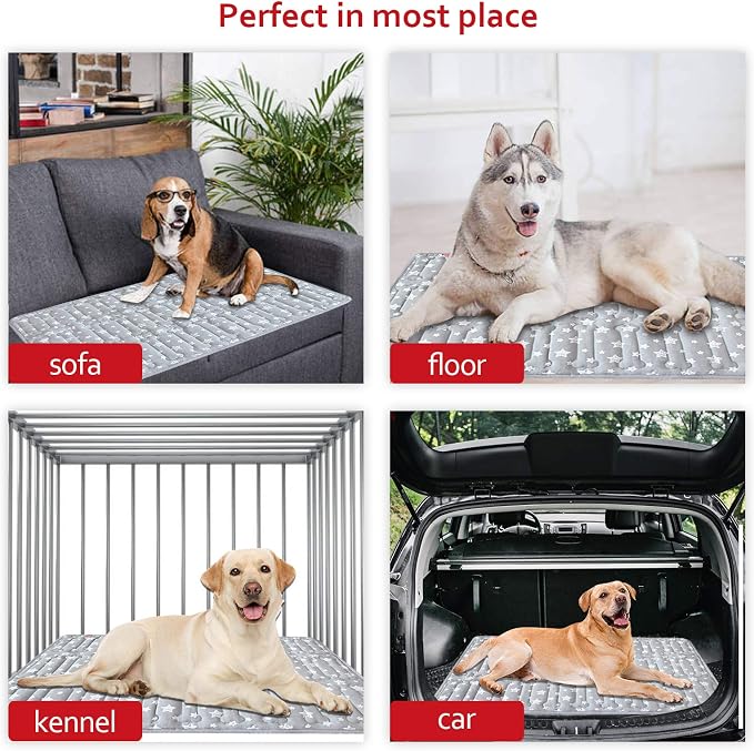 Dog Crate Mat (36" X 23") 2 Pack, Soft Dog Bed Mat with Cute Stars, Personalized Crate Pad, Anti-Slip Bottom, Machine Washable Kennel Pad, Grey