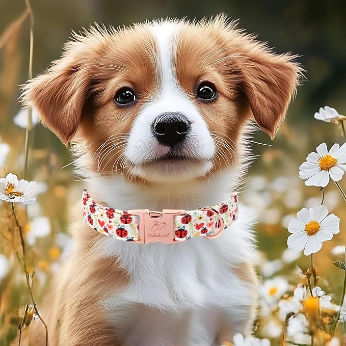 Cute Dog Collar for Large Dogs - Red Ladybug & Blooms Dog Collars, Adjustable Heavy Duty Pet Collar for Dog Moms & Kids with Metal Buckle XL