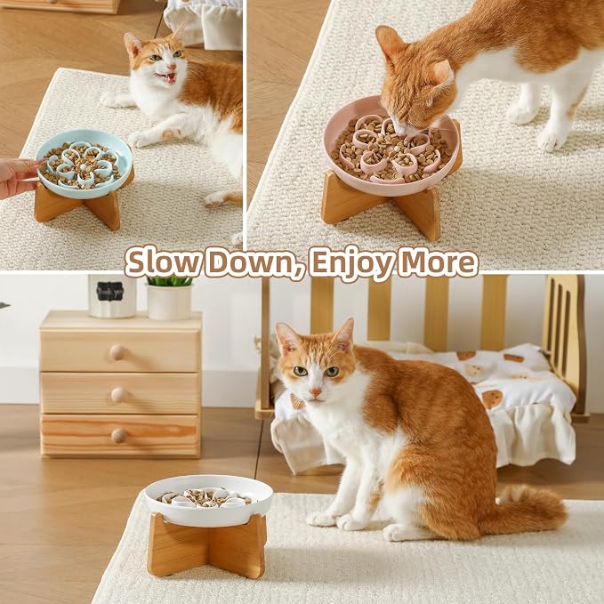 PTOBER Elevated Slow Feeder Cat Bowl - Melamine Cat Dish with Anti-Slip Bamboo Stand - Whisker Friendly Feeding Bowl - Floral Maze Food Plate for Slow Eating - White