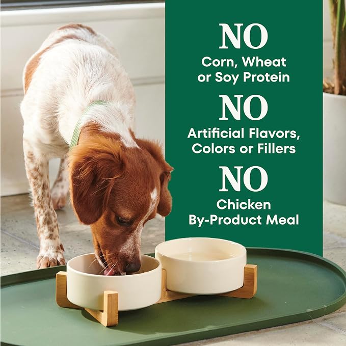 Nutro Natural Choice Small Bites Dry Dog Food, Adult Dog Food Dry Salmon and Brown Rice Recipe, 28 lbs.