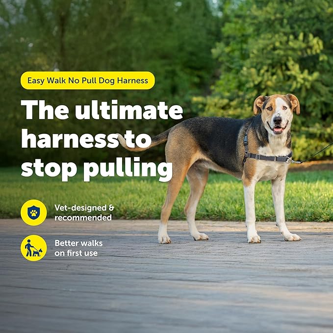 PetSafe Easy Walk No-Pull Dog Harness - Ultimate Harness to Help Stop Pulling - Pull-Free Walks - Take Control & Teach Better Leash Manners - Patented Martingale Loop Design - Charcoal Gray, X-Large