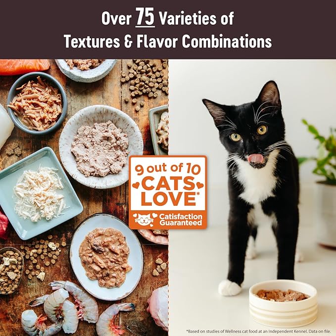 Wellness CORE Tiny Tasters Pate Adult Wet Cat Food, Natural, Protein Rich, Grain Free, Tuna Recipe, 1.75 oz, Pack of 12 Pouches
