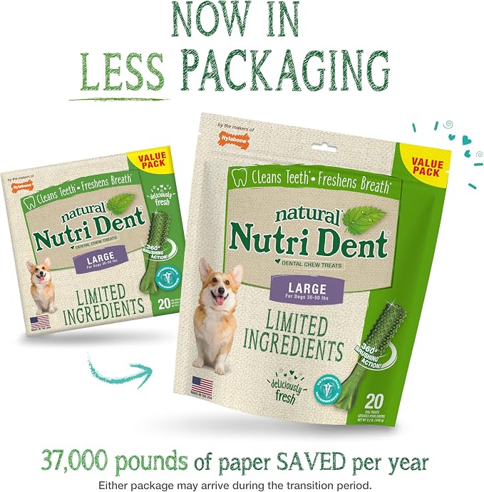Nylabone Nutri Dent Dog Dental Treats - Natural Dog Teeth Cleaning & Breath Freshener - Dental Treats for Dogs - Fresh Breath Flavor, Large (20 Count)