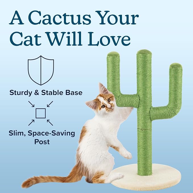 24” Tall Cat Scratching Post - Vertical Cactus Scratch Post for Indoor Cats - 360 Degree Jute Rope-Covered Kitten Scratcher with 3 Branches and Sturdy Base by PETMAKER (Green)