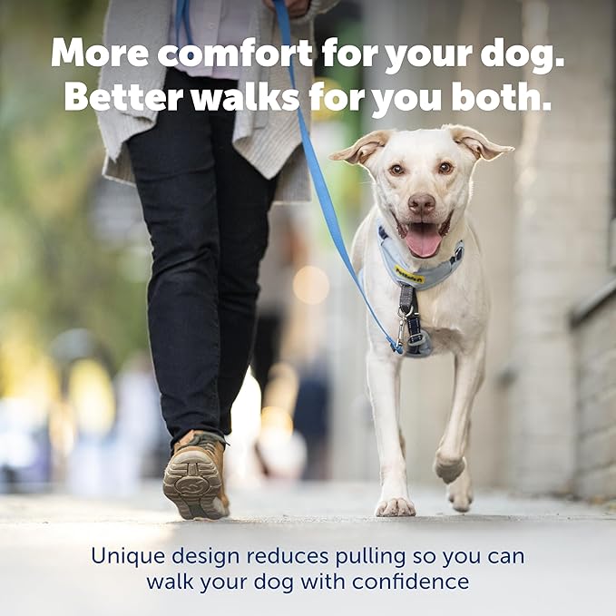 PetSafe Easy Walk Comfort No-Pull Dog Harness Full-Body Padding - Better Walks on the First Use - 5 Points of Adjustment Large, Pink