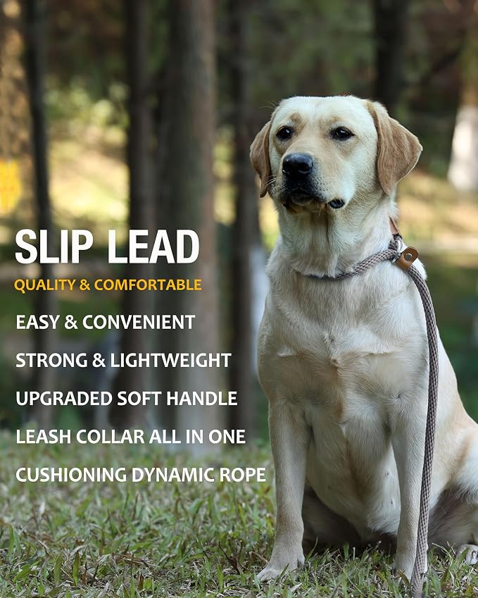 lynxking 8 FT Dog Leash Slip Lead 2 Pack Strong Heavy Duty Braided Dog Training Leash No Pull Training Lead Leashes for Medium Large and Small Dogs