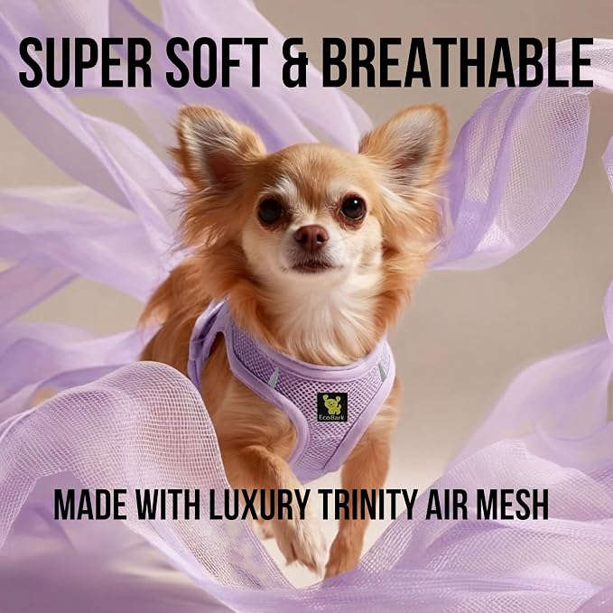 EcoBark Step in Dog Harness - Dog Harnesses for Small and Medium Breed Dogs - Reflective and Adjustable Body Halter Vest - Soft Mesh Toy Breed Harness (Lavender, Medium)
