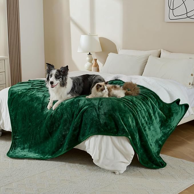 Waterproof Blanket for Bed Couch Sofa, Soft Liquid Pee Proof Pet Blanket for Dog Puppy Cat, Reversible Sherpa Fleece Furniture Protector (Green, 60x80 inches)