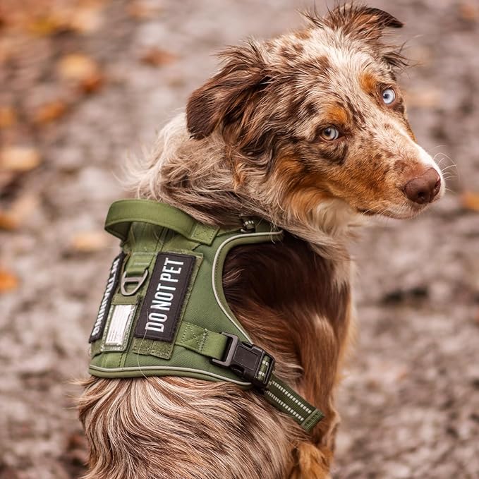 rabbitgoo Tactical Dog Harness for Large Dogs No Pull Adjustable Military Vest with Handle MOLLE Reflective Heavy Duty Dog Vest for Walking Training Hunting Outdoor Medium Size Dog Desert Camo XL