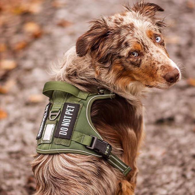 rabbitgoo Tactical Dog Harness for Large Dogs No Pull Adjustable Military Vest with Handle MOLLE Reflective Heavy Duty Dog Vest for Walking Training Hunting Outdoor Working Medium Size Dog Rose Red XL