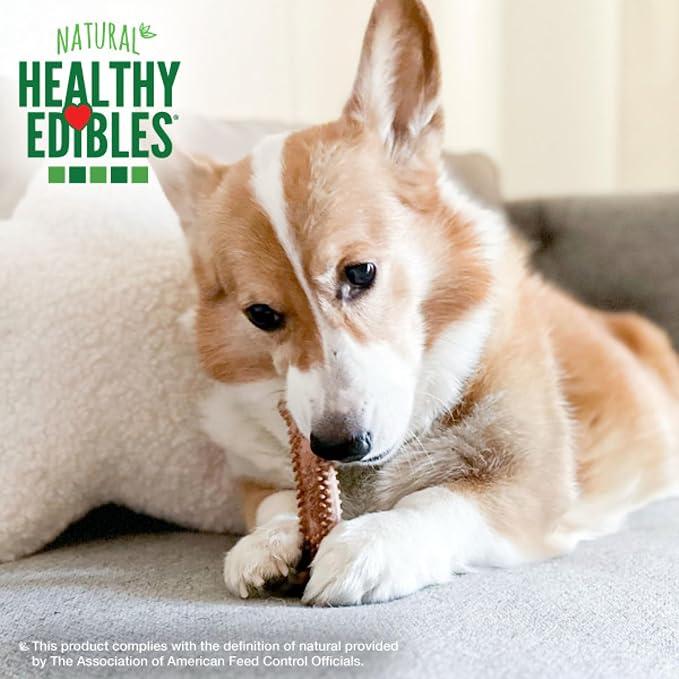 Nylabone Healthy Edibles Natural Dog Chews Long Lasting Meaty Center Beef Flavor Treats for Dogs, Small (12 Count) (Pack of 2)