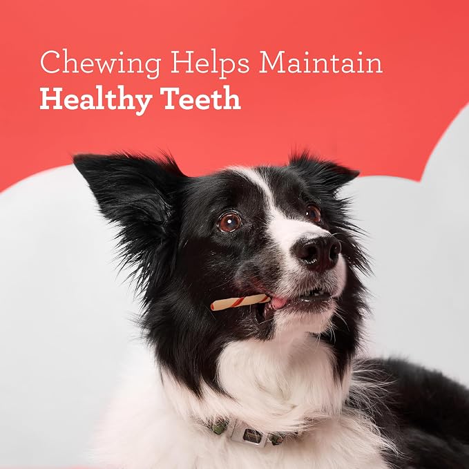 DreamBone Twist Sticks Chews for Dogs, Treat Your Dog to Easy-to-Digest Rawhide-Free Chews Made with Real Vegetables and Chicken, 50 Count