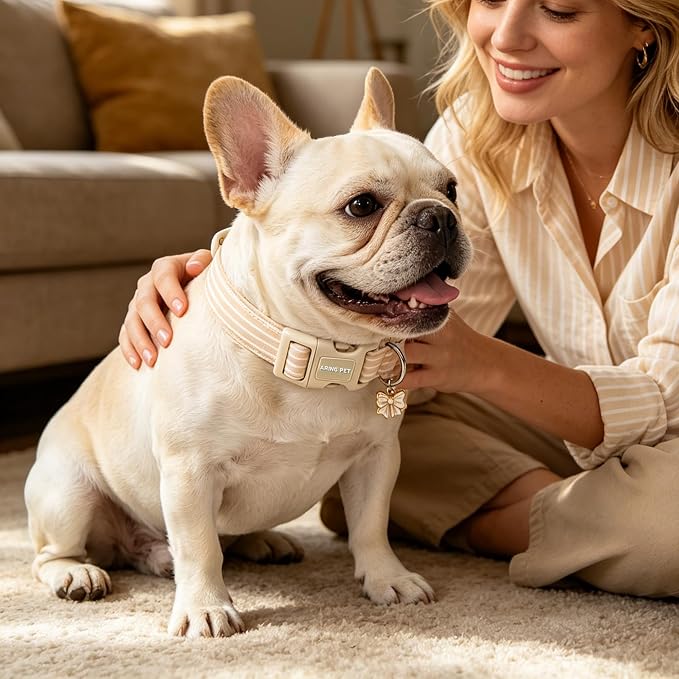 ARING PET Stripe Dog Collar, Cute Spring Summer Khaki Stripe Pet Collars with Bow Charm for Puppy Small Medium Large Boy Girl Dogs, for Daily Outdoor Walking Beach Stroll-XS