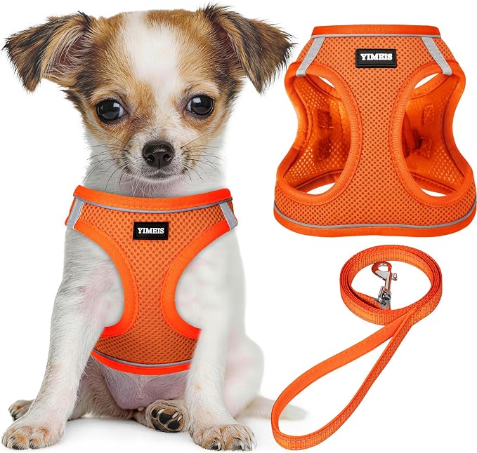 YIMEIS Dog Harness and Leash Set, No Pull Soft Mesh Pet Harness, Reflective Adjustable Puppy Vest for Small Medium Large Dogs, Cats (Orange01, X-Small (Pack of 1)