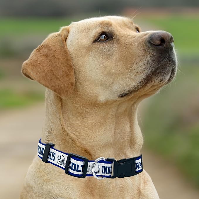 Pets First NFL Indianapolis Colts Licensed PET COLLAR, Large - Heavy-Duty, Strong, and Durable Dog Collar. Available in 31 Football Teams and 4 Sizes