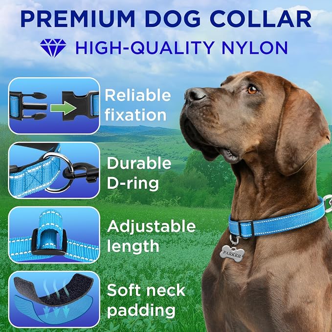 TECEUM Reflective Dog Collar – Sky Blue – L – Extra Soft Padding – Basic Nylon Pet Collar – Quick Release Buckle – Fits Small, Medium and Large Dogs, Puppies, Cats – ESA & Service Dog Options
