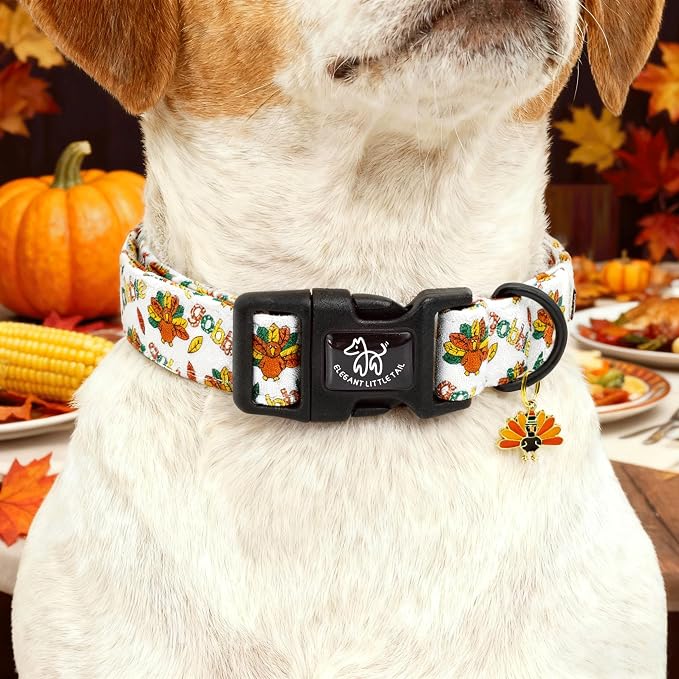 Elegant little tail Thanksgiving Dog Collar, Turkey Print Cotton Soft Plastic Buckle Sturdy Puppy Collars Holiday Female or Male Adjustable Collar for Small Dogs
