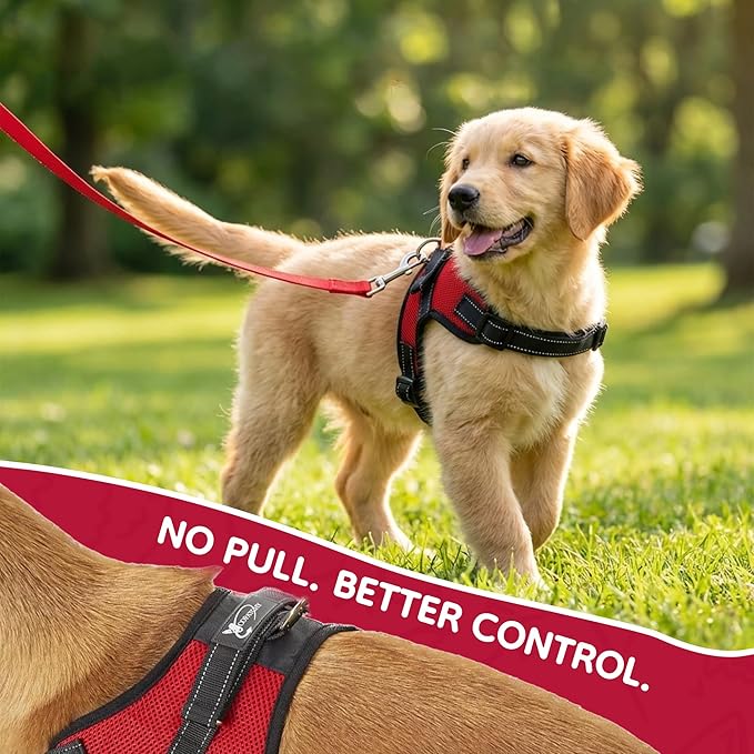 No Pull Reflective Adjustable Dog Harness with Handle- Comfortable Soft All Weather Mesh, Easy On Puppy Harness for Small Medium and Large Dogs (Red) Small