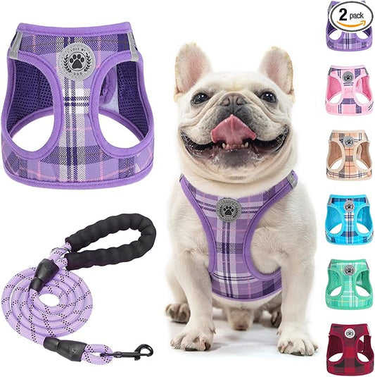 BEAUTYZOO Small Dog Harness and Leash Set, Step in No Choke No Pull Soft Mesh Dog Harnesses Reflective for Extra-Small/Small Medium Puppy Dogs and Cats, Plaid Dog Vest Harness for XS S Pets, Purple L