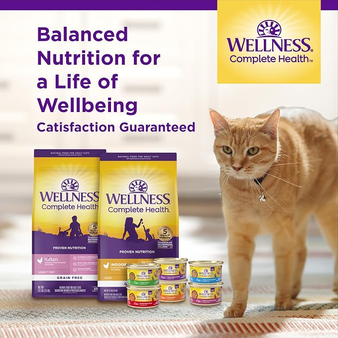 Wellness Complete Health Adult Dry Cat Food for Indoor Cats, Natural, Wholesome Grains Kibble, Chicken Recipe, 5 lb Bag
