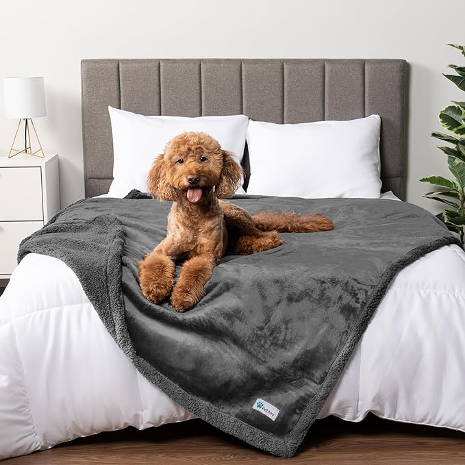 PetAmi Waterproof Dog Blanket for Couch, Queen 90x90, Pee Proof Sherpa Fleece Reversible Pet Throw, Furniture Protector for Bed Sofa, Soft Washable Cover for Large Dogs Cats, Grey Sherpa