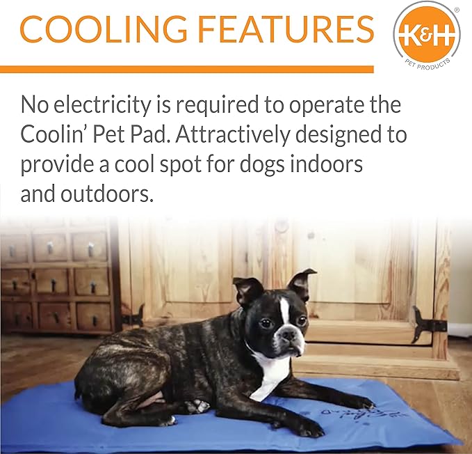 K&H Pet Products Coolin' Pet Pad Blue Small 15 X 11 Inches