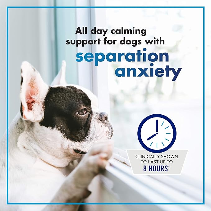 VetriScience Calm & Confident Chews, Composure Clinically Tested Calming and Anxiety Ashwagandha Supplement for Dogs, Stress Relief, Separation Anxiety, Behavior Support, Chicken, 90 Count