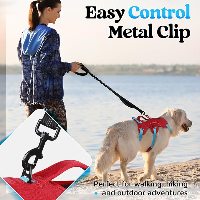 rabbitgoo Escape Proof Dog Harness Large Dogs, Soft Padded Full Body Pet Harness, Reflective Adjustable No Pull Vest with Lift Handle and Leash Clip for Walking Hiking Training, Blue & Red, L