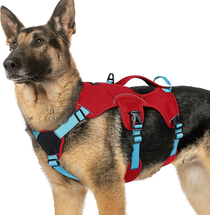 rabbitgoo Escape Proof Dog Harness Large Dogs, Soft Padded Full Body Pet Harness, Reflective Adjustable No Pull Vest with Lift Handle and Leash Clip for Walking Hiking Training, Blue & Red, XL