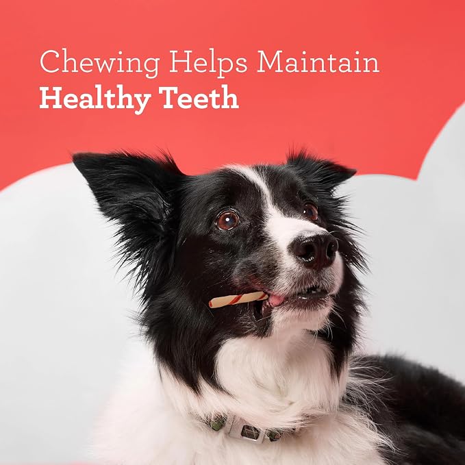 DreamBone Chicken Twist Stick Dog Treats, Daily Rawhide-Free Chew, Digests Safely and Completely, with Real Protein, Chicken and Veggies, 100 Count