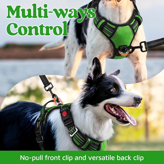 rabbitgoo Dog Harness for Large Dogs, 3 Buckles Easy On & Off No Pull Pet Vest, Soft Padded Walking Pet Harness with Control Handle, Adjustable and Reflective, Green, L