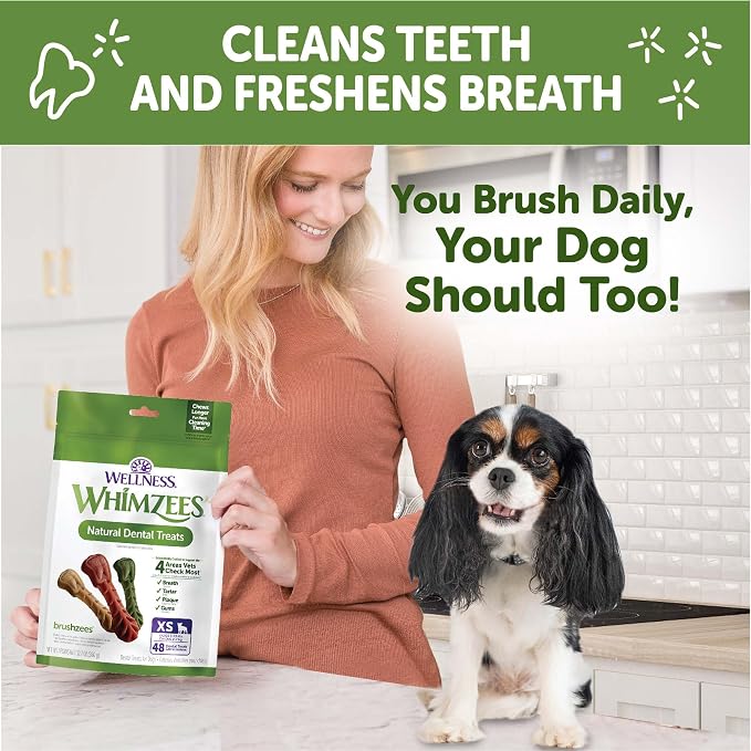 Wellness Whimzees Brushzees Natural Dog Dental Treat, VOHC Accepted Chews, Freshens Breath, Extra-Small Size, 12.7 oz Bag, 48 Count (Pack of 2)