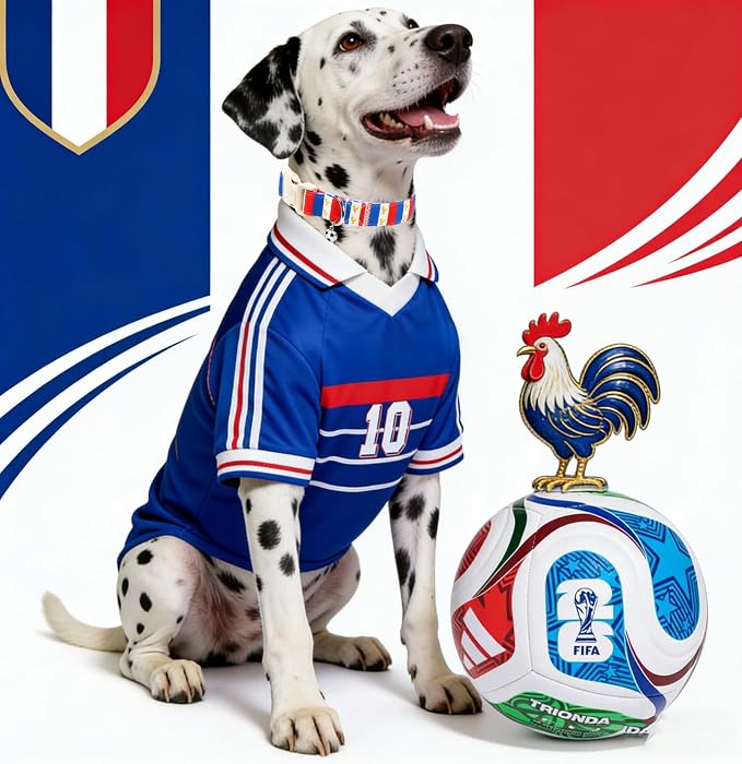 France World Cup Dog Collar with Soccer Pendant for Large Girl Boy Dogs, France Jersey Pattern, Adjustable Soft Durable Collar Gift for Male Female Puppies