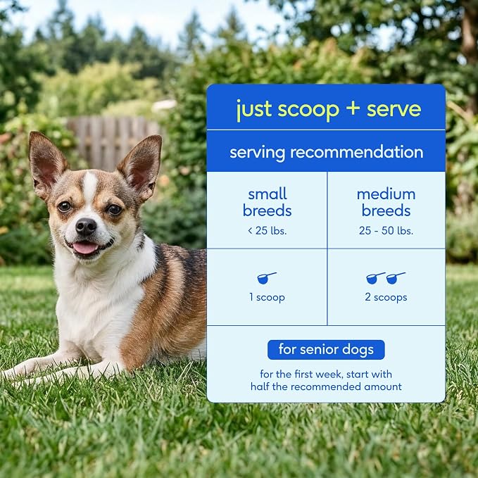 Native Pet Senior Daily Dog Vitamins & Supplements – 12-in-1 Dog Multivitamin Powder for Senior Dogs – Supports Mobility, Cognition, Digestion, Immune Health & More – 30 Scoops