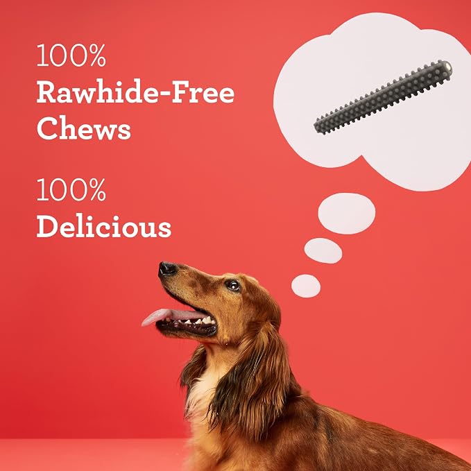 DreamBone Triple Action Dental Sticks Charcoal, 10 Count, Rawhide-Free Chews for Small and Medium Sized Dogs Freshens Breath