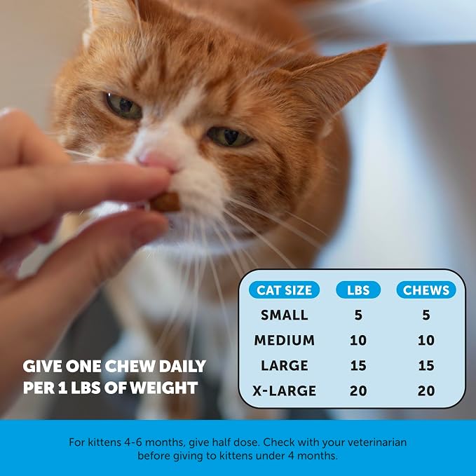 Cat Skin & Coat Health Chews – Crunchy & Creamy Treats with Omegas, Vitamin C & E, Biotin – Soothes Itchy, Dry Skin, Reduces Shedding & Promotes a Shiny Coat – Cat Vitamins (Chicken 90-Day Supply)