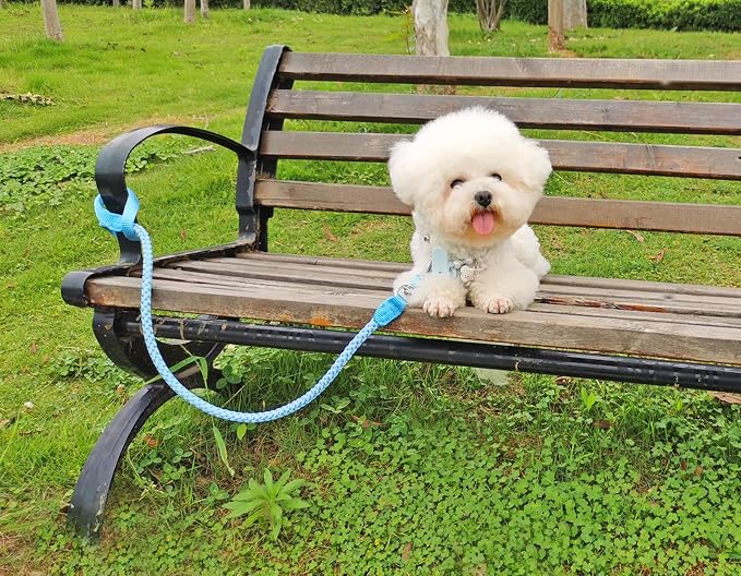 2/3/4/6/10 Foot Reflective Dog Leash Strong Nylon Rope Braided Heavy Duty for Large and Medium Small Dogs Walking Training Leads (Sky Blue, 3ft * 1/2")