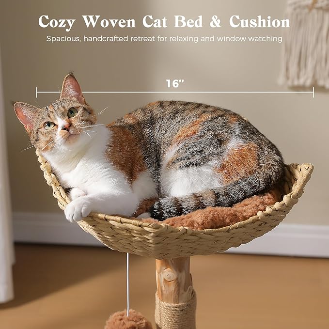 MUTTROS Modern Cat Tree Tower with Real Wood Branches and Wicker Basket Bed, Solid Wood Cat Climbing Furniture with Scratching Posts and 3 Hanging Balls for Indoor Cats, Brown