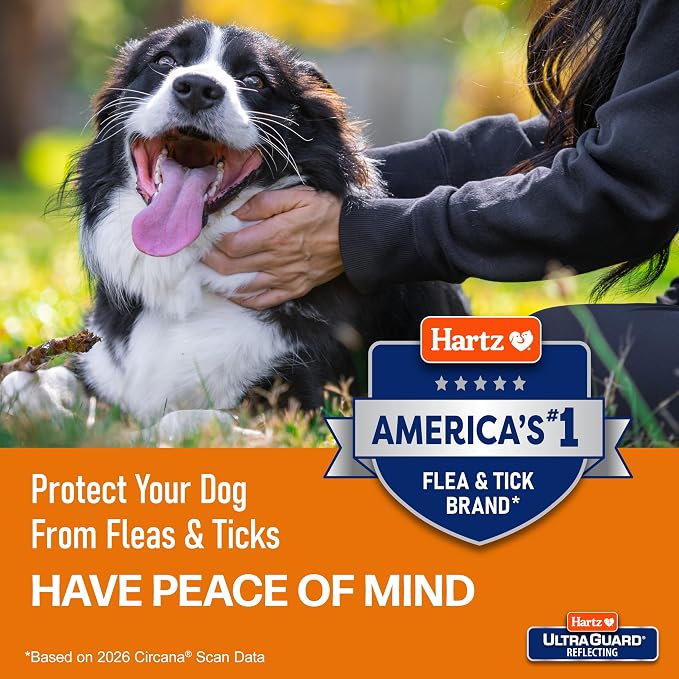 Hartz UltraGuard Flea & Tick Collar for Dogs and Puppies
