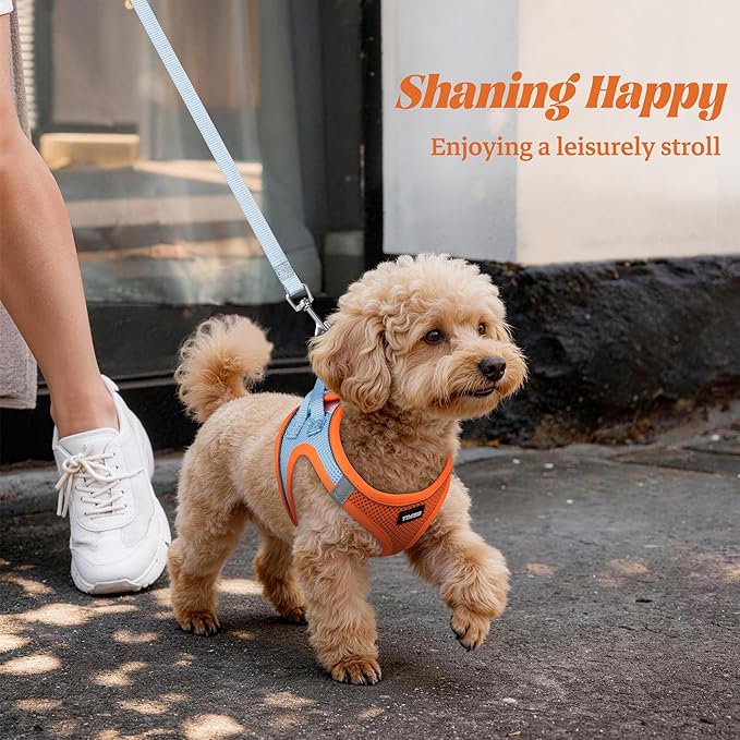 YIMEIS Dog Harness and Leash Set, No Pull Soft Mesh Pet Harness, Reflective Adjustable Puppy Vest for Small Medium Large Dogs, Cats (Orangeblue, Small (Pack of 1)